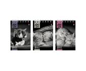 Блокнот на спирали А7, 40л., клетка, КОШАЧИЙ ВЗГЛЯД, в ассортименте, Альт 3-40-007 | OfficeDom.kz