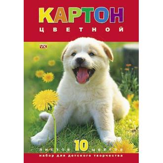 Картон цветной Hatber VK Белый щенок А4, 10л, 10цв. - Officedom (1)