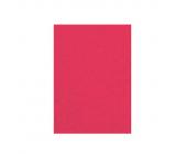 Обложка для переплета карт. А4, 230г/м2, 100шт, "под кожу" красный, Forofis | OfficeDom.kz