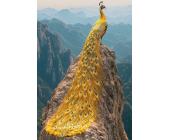 Пазл 500 элементов Золотой павлин, ФРЕЯ PZL-500/69 | OfficeDom.kz