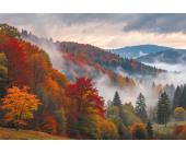 Пазл 1500 элементов Осенний туман в Шварцвальде, ФРЕЯ PZL-1500/48 | OfficeDom.kz