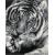 Мозаика кристальная (алмазная) на подрамнике "Черно-белый тигр" 40х50 см, ФРЕЯ ALPD-128 - Officedom (1)