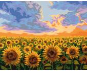 Набор для раскрашивания по номерам 50х40см "Подсолнухи на закате", ФРЕЯ PNB/PL-137 | OfficeDom.kz
