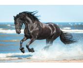 Пазл 2000 элементов Навстречу бризу, ФРЕЯ PZL-2000/45 | OfficeDom.kz