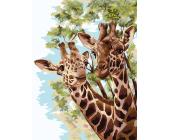 Набор для раскрашивания по номерам 40х30см (цветной холст) "Жирафы в саванне", ФРЕЯ PNB/PMC-104 | OfficeDom.kz