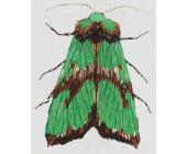 Набор для вышивания "Живая картина" Зеленый мотылек, 5,5х6,5 см, PANNA JK-2179 | OfficeDom.kz