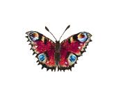 Набор для вышивания "Живая картина" Бабочка Павлиний глаз, 7,5х5 см, PANNA JK-2198 | OfficeDom.kz