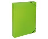 Короб архивный пластиковый A4, 50 мм, лайм, Expert Complete PRISMA NEON ЕС240441021 | OfficeDom.kz