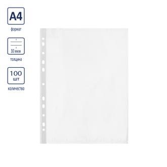 Файлы с перфорацией А4, 30мкр, глянцевые, 100шт, Expert Complete Classic (22040101) - Officedom (1)