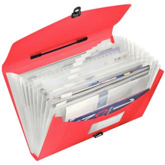 Папка с 10 отделениями, на застежке, картон, ассорти - Officedom (3)