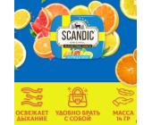 Конфеты драже без сахара Цитрусовый микс, 14гр, SCANDIC | OfficeDom.kz