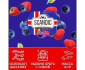 Конфеты драже без сахара Лесные ягоды, 14гр, SCANDIC | OfficeDom.kz