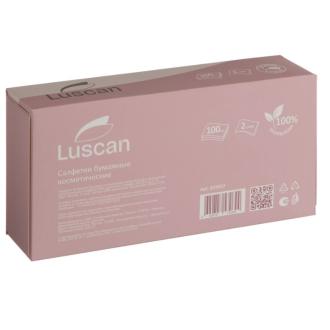 Салфетки косметические, 2 слоя, 100 шт, в коробке, Luscan - Officedom (3)