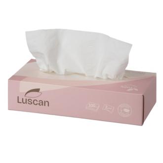 Салфетки косметические, 2 слоя, 100 шт, в коробке, Luscan - Officedom (4)