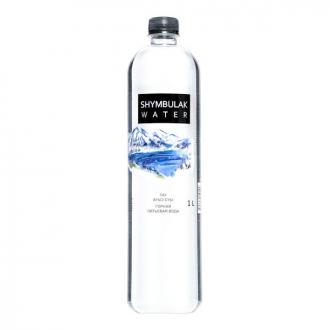 Вода питьевая горная Shymbulak Water без газа, 1л, пласт. бутылка - Officedom (1)