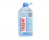 Вода минеральная TASSAY без газа 5л, пластик | OfficeDom.kz