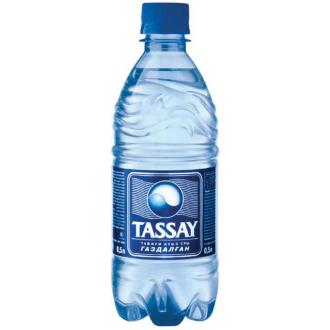 Минеральная вода TASSAY с газом, 0,5л, пластик - Officedom (1)