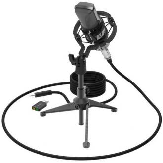 Студийный микрофон RITMIX RDM-160 черный - Officedom (1)