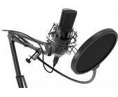 Студийный микрофон Ritmix RDM-169 черный | OfficeDom.kz