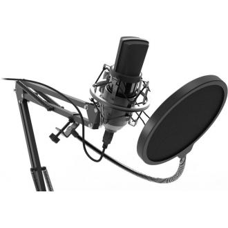 Студийный микрофон Ritmix RDM-169 черный - Officedom (1)