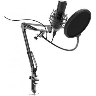 Студийный микрофон RITMIX RDM-180 черный - Officedom (1)